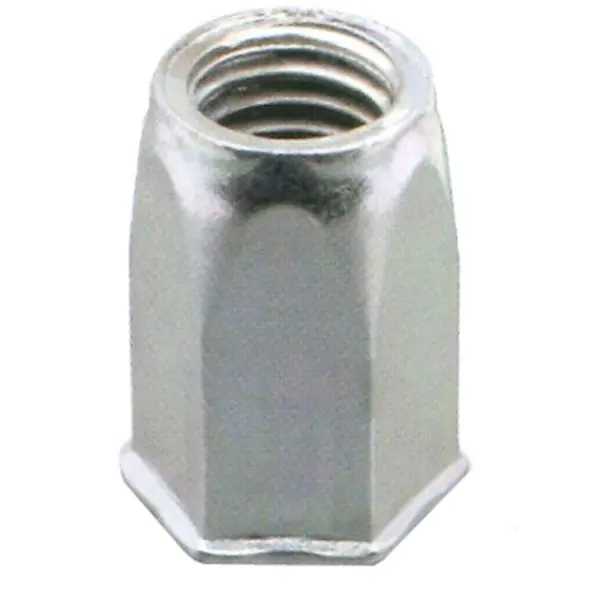 Blindnitmutter Kampanj